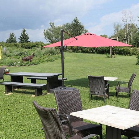 Auberge La Daina Baie-Saint-Paul Bagian luar foto